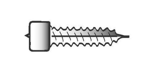 Vite del coperchio 25x3,5mm